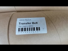 Cinturón de transferencia para M553