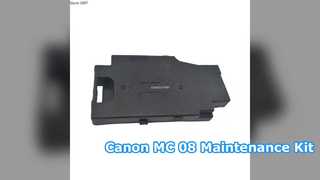 Kit de mantenimiento de tinta WorkForce WF-100 T2950 T295000