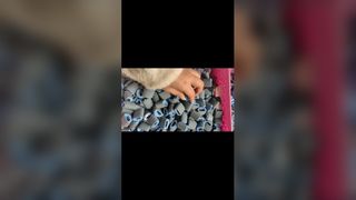 Rodillo de recogida HP 1010