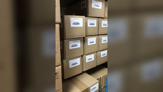 Conjunto de rodillo de transferencia original Xerox 019K16290