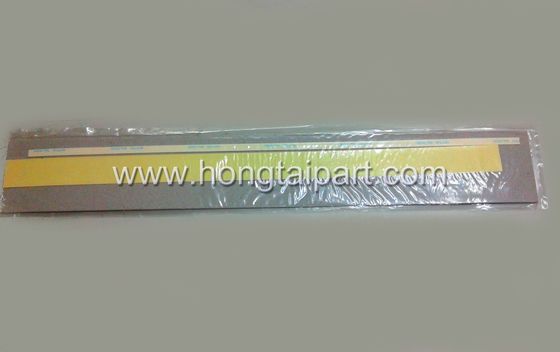 comprar Sello de Mylar fabricación en línea