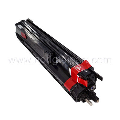 P.M. C2800 C3300 C4000 C5000 (D0293015 D0293025 D0293035 D0293045) de Ricoh Aficio de la unidad del desarrollador